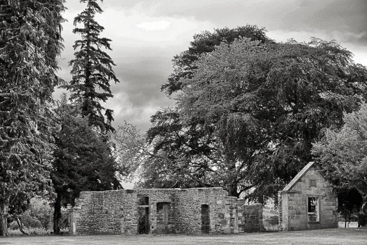 Mother's Ruin July, 2014