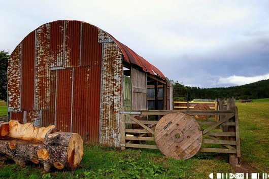 The Bothy played host to many acts in 2013, including Nina Nesbitt, we suspect it will be one of the paces to get up close and personal to acts in 2014 too.