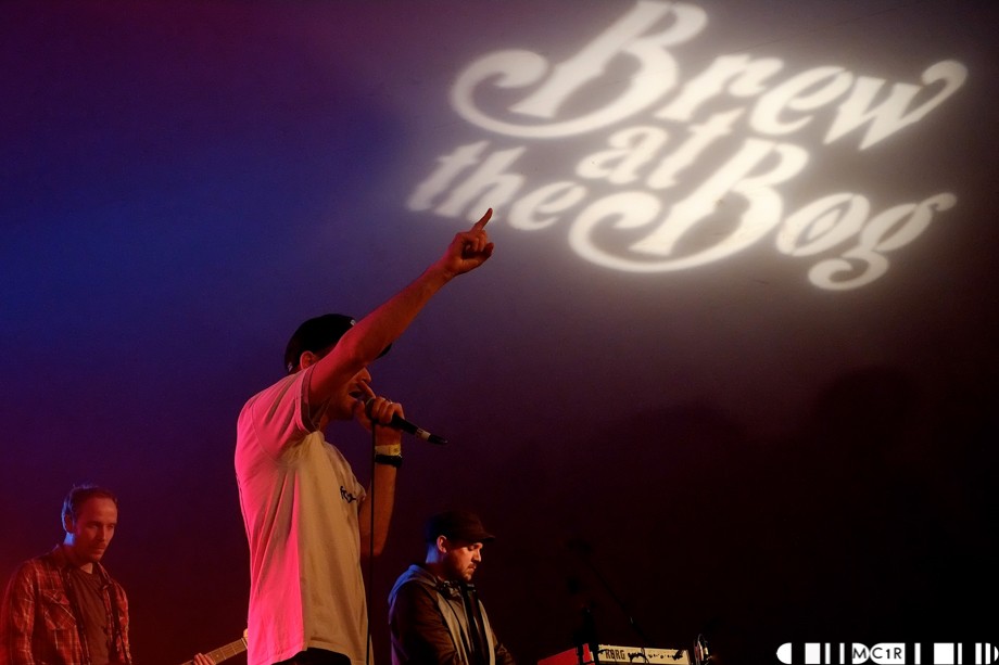 Brew at the Bog 2015 first announcement