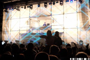 One of Ally's picks, Tensnake