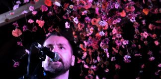 Blazin’ Roots Blue Rose Code at Brew at the Bog 2016