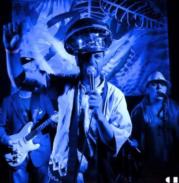 Colonel Mustard & The Dijon 5 at Brew at the Bog 2016 – Pictures Colonel Mustard & The Dijon 5 at Brew at the Bog 2016