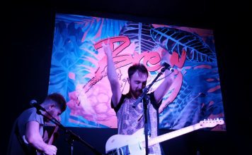Foreign Fox at Brew at the Bog 2016 – Pictures Foreign Fox at Brew at the Bog 2016