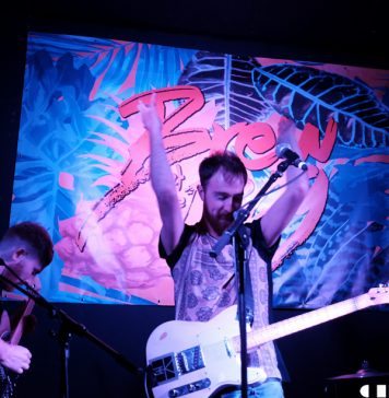 Foreign Fox at Brew at the Bog 2016 – Pictures Foreign Fox at Brew at the Bog 2016