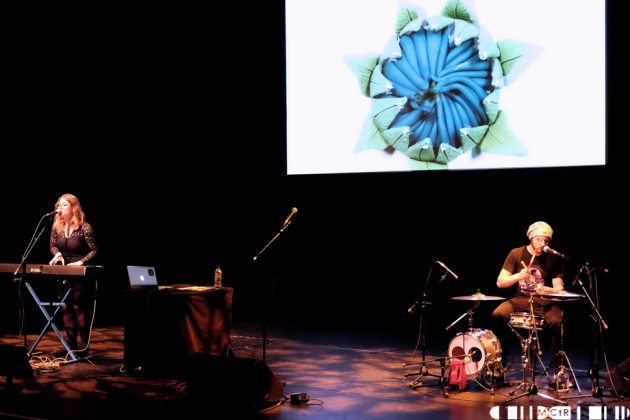 Ripped From The Wire Spine, with support from Liam McCormick and Declan Welsh, at Eden Court, Inverness on the 29th of October, 2016.