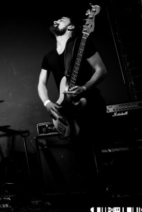 Bloodlines at Northen Roots 2017