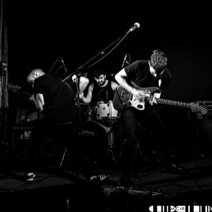 Bloodlines at Northen Roots 2017