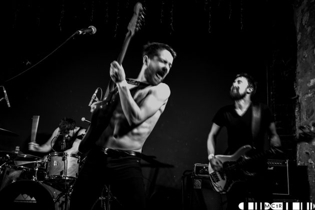 Bloodlines at Northen Roots 2017