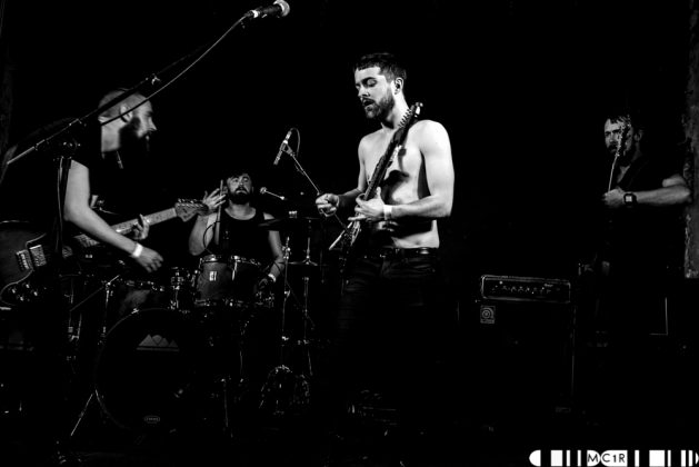 Bloodlines at Northen Roots 2017