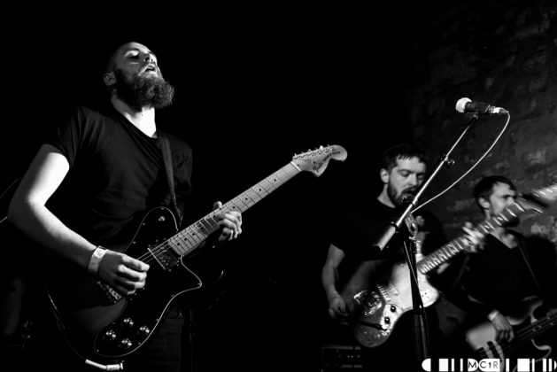 Bloodlines at Northen Roots 2017