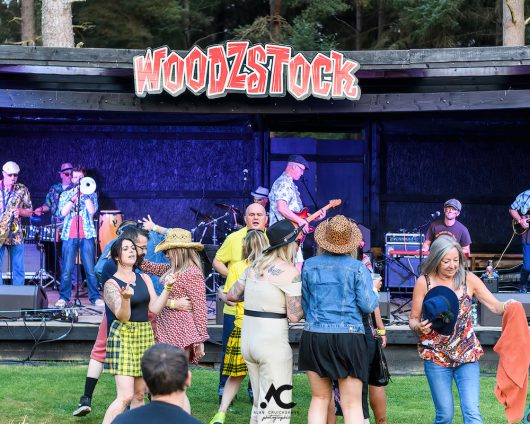 Folk at the Fest Woodzstock 2021 13 530x424 - Folk at the Fest Woodzstock2021 - IMAGES