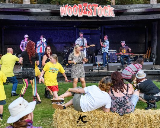 Folk at the Fest Woodzstock 2021 9 530x424 - Folk at the Fest Woodzstock2021 - IMAGES